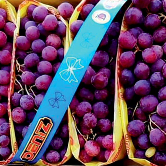 Red Globe Grapes